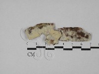 登錄號:F0029122藏品圖，第1張