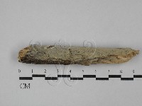 登錄號:F0029123藏品圖，第1張