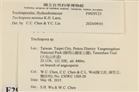 登錄號:F0029123藏品圖，第3張