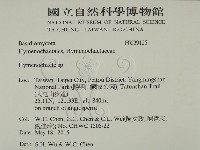 刺革菌屬藏品圖，第2張