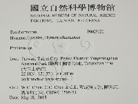 木層孔菌屬藏品圖，第2張