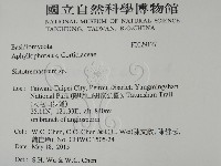 登錄號:F0029127藏品圖，第2張