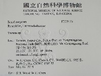 登錄號:F0029133藏品圖，第2張