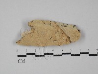 登錄號:F0029135藏品圖，第1張