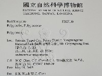 多孔菌屬藏品圖，第2張