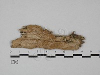 登錄號:F0029138藏品圖，第1張