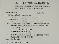 登錄號:F0029140藏品圖，第2張