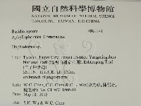 絲皮菌屬藏品圖，第2張