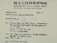 刺革菌屬藏品圖，第2張