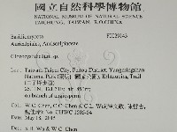 登錄號:F0029143藏品圖，第2張