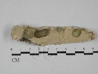 登錄號:F0029143藏品圖，第1張