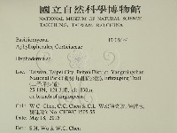 絲皮菌屬藏品圖，第2張