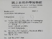 登錄號:F0029145藏品圖，第2張