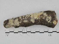 登錄號:F0029145藏品圖，第1張