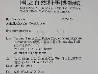 登錄號:F0029146藏品圖，第2張