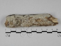 登錄號:F0029146藏品圖，第1張