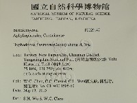 登錄號:F0029147藏品圖，第2張