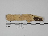 登錄號:F0029147藏品圖，第1張