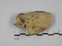 登錄號:F0029149藏品圖，第1張