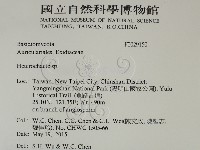 刺皮菌屬藏品圖，第2張