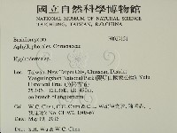 絲皮菌屬藏品圖，第2張