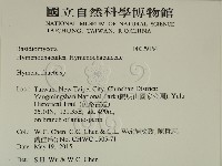 刺革菌屬藏品圖，第2張