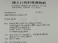 登錄號:F0029155藏品圖，第2張