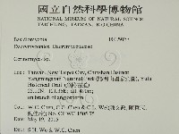 登錄號:F0029157藏品圖，第2張
