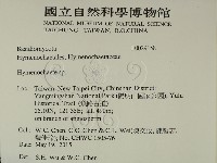 刺革菌屬藏品圖，第2張