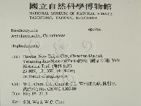 絲皮菌屬藏品圖，第2張