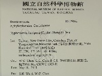 登錄號:F0029162藏品圖，第2張