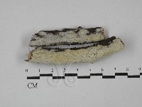 登錄號:F0029167藏品圖，第1張