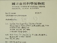 絲齒菌屬藏品圖，第2張