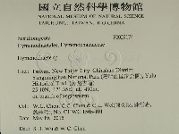 刺革菌屬藏品圖，第2張