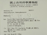 木層孔菌屬藏品圖，第2張