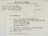 登錄號:F0029177藏品圖，第2張