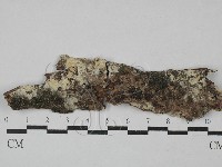 登錄號:F0029177藏品圖，第1張