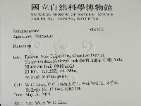 登錄號:F0029179藏品圖，第2張