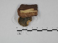 登錄號:F0029179藏品圖，第3張