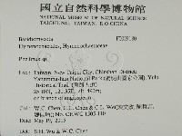 木層孔菌屬藏品圖，第2張