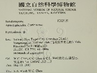 絲皮菌屬藏品圖，第2張