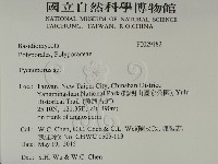登錄號:F0029182藏品圖，第2張