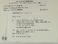 登錄號:F0029183藏品圖，第2張