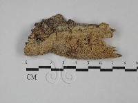 登錄號:F0029183藏品圖，第1張