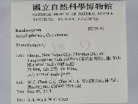 顯絲菌屬藏品圖，第2張