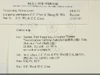 登錄號:F0029190藏品圖，第2張