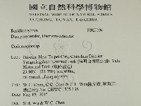 登錄號:F0029194藏品圖，第2張