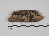 登錄號:F0029194藏品圖，第1張