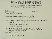 相鄰小孔菌藏品圖，第2張