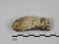 登錄號:F0029196藏品圖，第1張